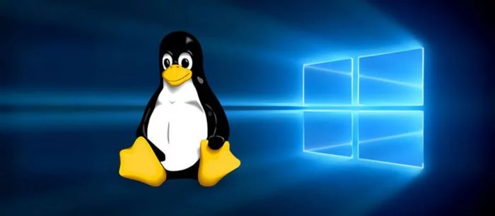 В Steam могут добавить инструменты для запуска игр с Windows на Linux