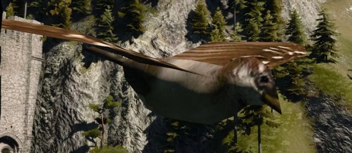 «Внимание к деталям» — моддер полностью переработал уродливых треугольных птиц в Witcher 3