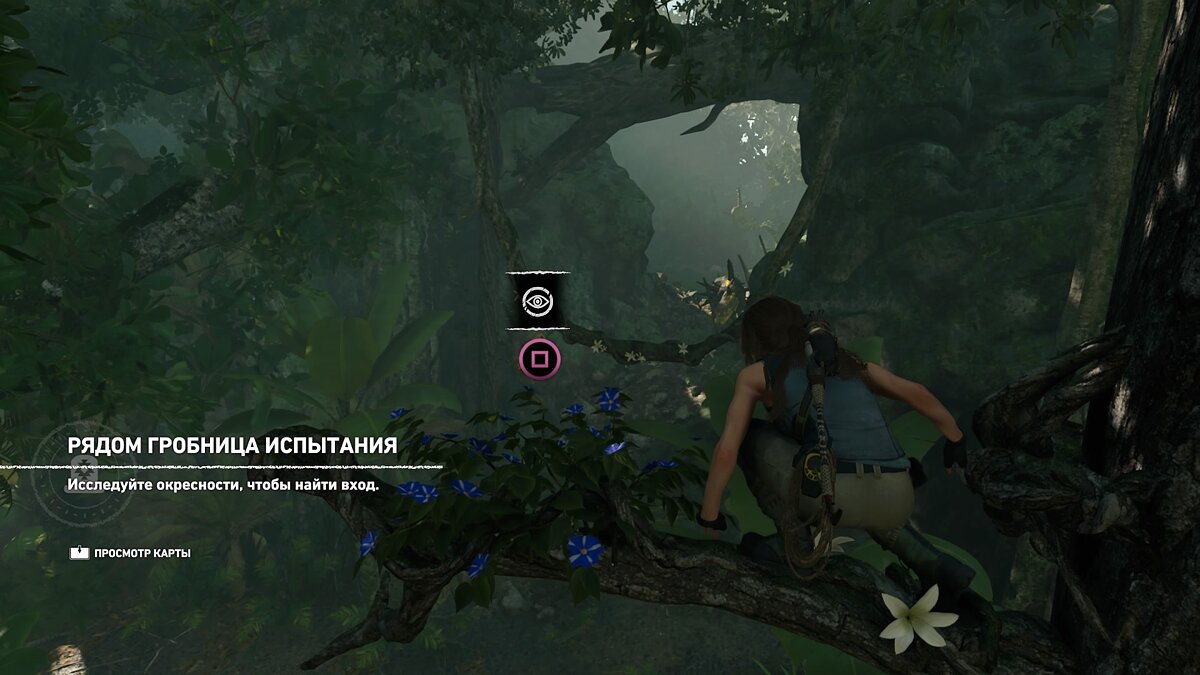 Shadow of the Tomb Raider перуанские джунгли. Перуанские джунгли карта Shadow of the Tomb Raider. Shadow of the Tomb Raider перуанские джунгли испытания. Перуанские джунгли томб Райдер артефакты.