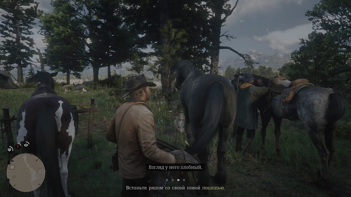 Как получить самую лучшую лошадь в Red Dead Redemption 2: породы лошадей, цены, характеристики, как чистить, приручать, воскрешать и прокачивать лошадь