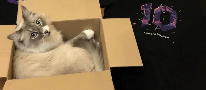 Халява: кот Макс распаковал подарок в честь 10-летия GOG, а там оказались бесплатные PC-игры! Заберите их быстрее всех!