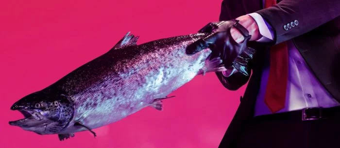 Hitman 2 получила первые оценки. И вот что о ней думают критики