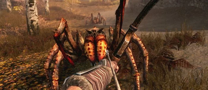 В Skyrim добавили коллекционные карточки, которые позволяют узнать больше о мире игры