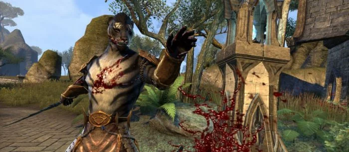 Выход мобильной The Elder Scrolls: Blades откладывается до 2019