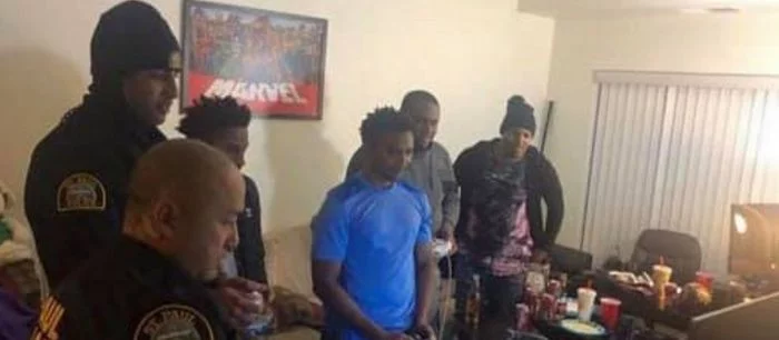 Полицейские приехали в дом шумных геймеров. Все закончилось дракой... в Super Smash Bros!