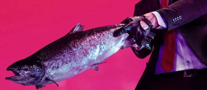 Секреты и пасхалки Hitman 2 — большие яйца, Черепашки-ниндзя, Uncharted, Tomb Raider 2 и Спанч Боб