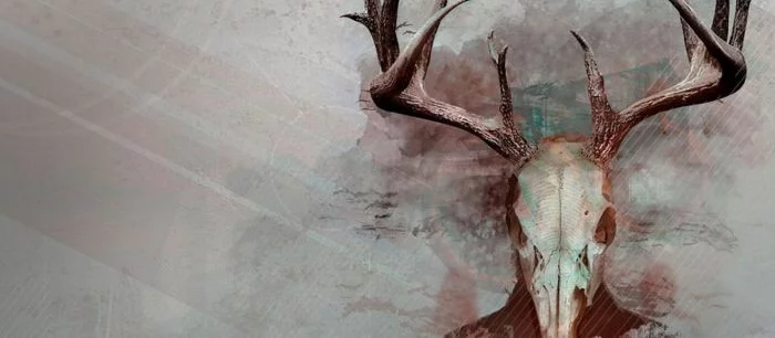 Психологический триллер Intruders: Hide and Seek вышел на PS4