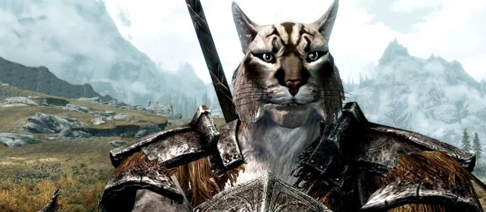 Bethesda снова всех троллит. На этот раз она показала «русскую версию новой Skyrim»