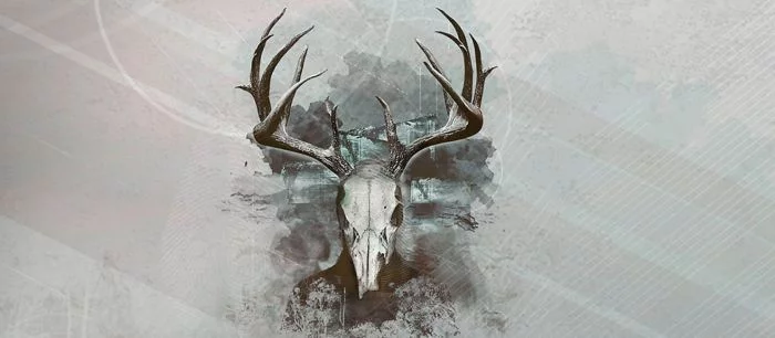 Обзор Intruders: Hide and Seek — почти Alien: Isolation, только без Чужого и андроидов