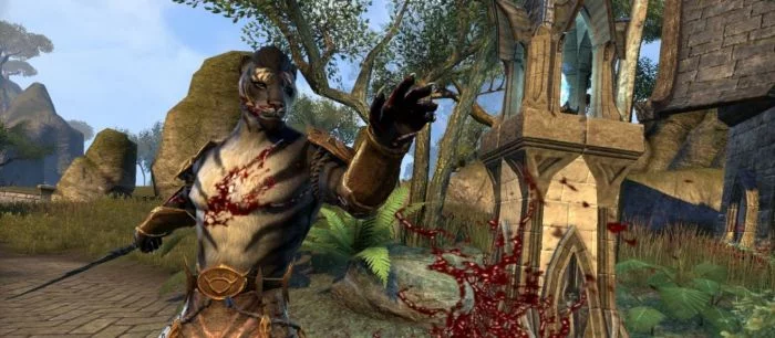 В TES: Blades нельзя назвать свой город «Тодд Говард» и Fallout 76. Игра считает это оскорблением