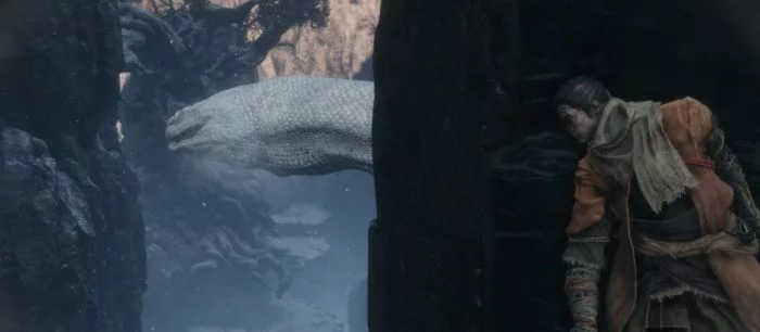 Где найти секретные двери синоби в Sekiro: Shadows Die Twice — гайд