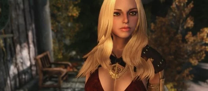 Максимум реализма — в Skyrim теперь можно заниматься проституцией с крафтом и прокачкой