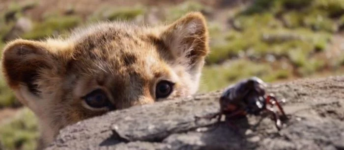 Свежий трейлер фильма «Король Лев» показал поющих Тимона и Пумбу