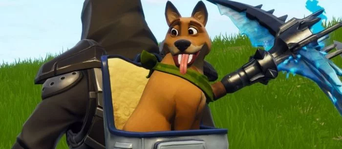 В Fortnite теперь можно гладить пёсика и других животных. Всё благодаря аккаунту в Twitter!