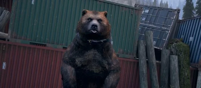 Довольный Илон Маск, акула-неубийца и неудавшаяся лыжная гонка — 57 выпуск GameFails