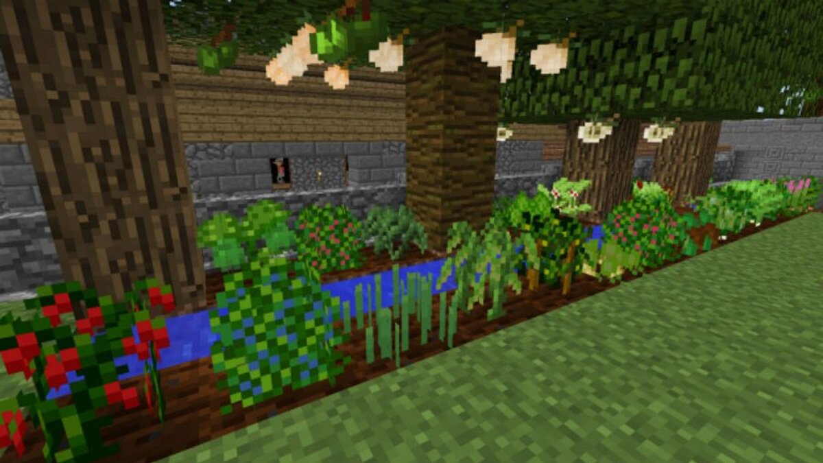 15 лучших модов для Minecraft — улучшенная графика, оптимизация под слабый  ПК, интерактивная карта, новые биомы, существа, блоки и многое другое