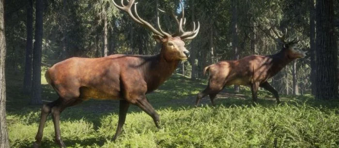 Халява: симулятор охоты theHunter: Call of the Wild стал бесплатным в Steam на несколько дней