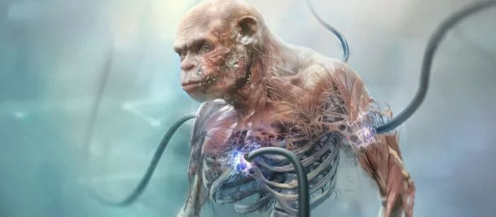 Появились новые концепт-арты Beyond Good & Evil 2