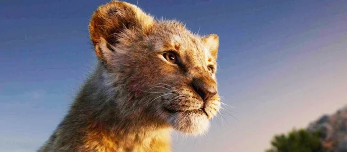 Российский художник перерисовал персонажей фильма «Король Лев» в стиле мультика — картинки со сравнением