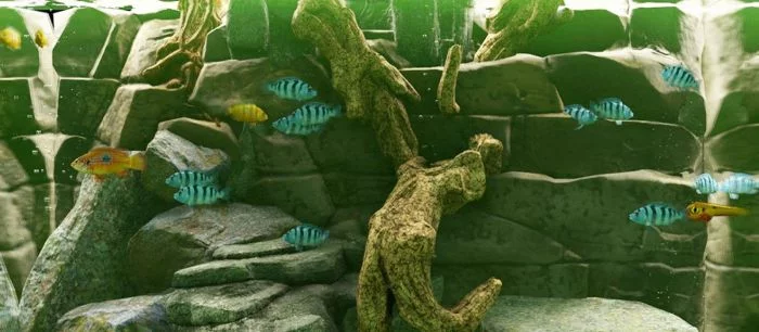 В Steam выйдет симулятор аквариума с фотореалистичной графикой Biotope — трейлер и скриншоты