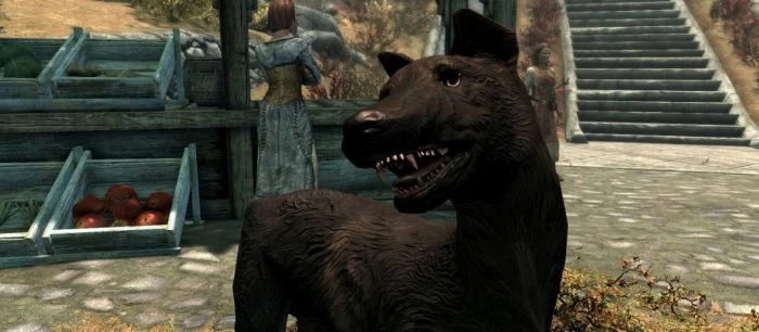 Фанат Skyrim увековечил свою погибшую собаку в игре