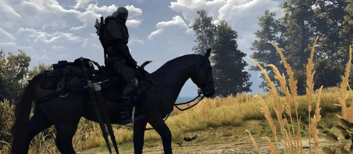 Новый мод для The Witcher 3 делает Геральта более каноничным