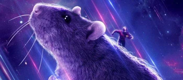 Новая теория фанатов «Мстителей» связана с крысой из последнего фильма