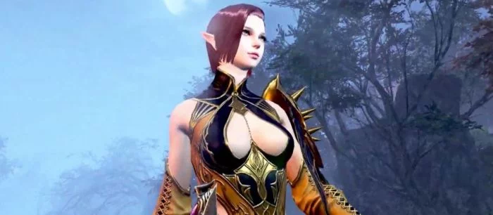 Руки на стол! Авторы Kingdom Under Fire 2 показали сексуальных героинь класса Spellsword