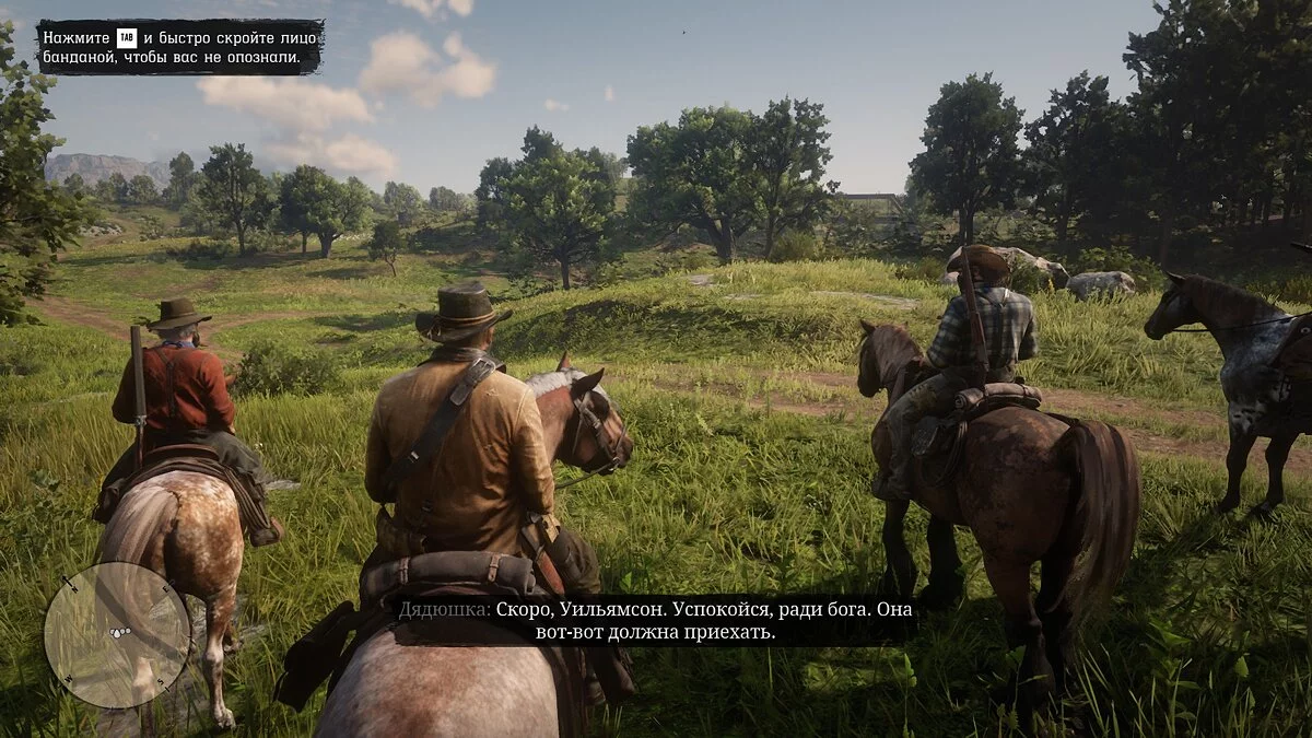 Rdr 2 Купить Днс