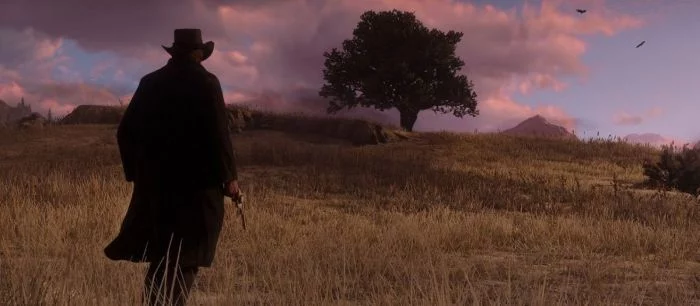 Видеокарта RTX 2080 Ti не поможет поиграть в Red Dead Redemption 2 в 4K/60fps на ультра настройках