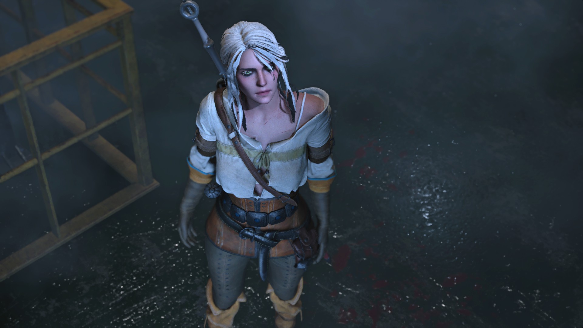 The witcher 3 play as ciri mod фото 48