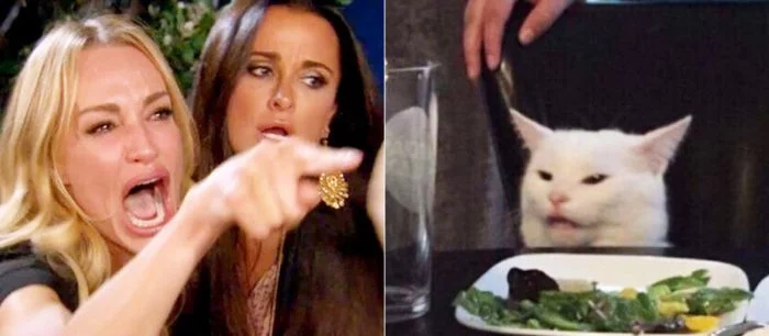 Смешные коты, Рикардо Милос и лягушонок Пепе — показаны самые популярные мемы десятилетия