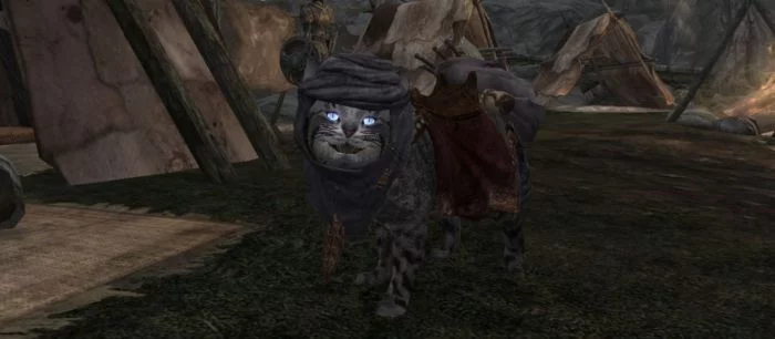 В Skyrim добавили милых котиков Альфиков-компаньонов