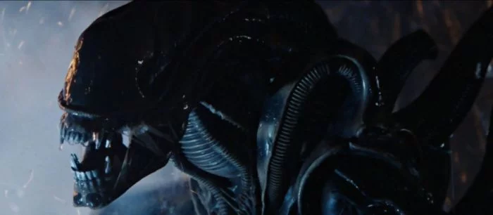 У 3D Realms тоже была игра по «Чужим», которую отменила Disney