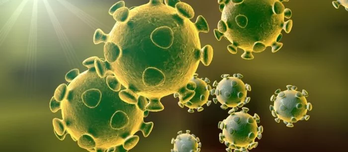 Власти Китая выпустили игру про коронавирус в стиле Fruit Ninja