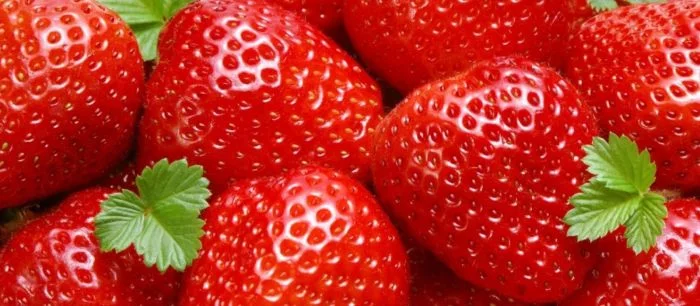 YouPorn создал аналог TikTok, но с роликами для взрослых (18+)