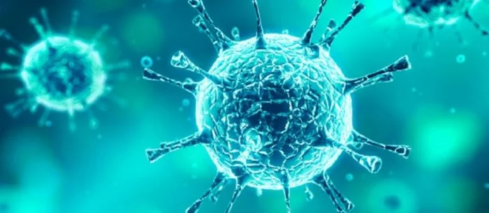 Коронавирус помог некоторым пользователям PornHub бесплатно получить премиум-аккаунты