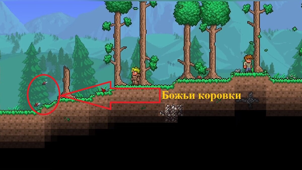 Характеристика «удача» в Terraria 1.4 — как поднять и на что влияет