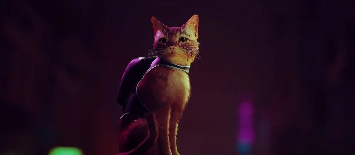 Состоялся анонс Stray — игры про котика в мире киберпанка