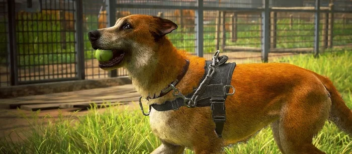 PlayStation показала крутые скриншоты, которые игроки сделали в The Last of Us: Part 2