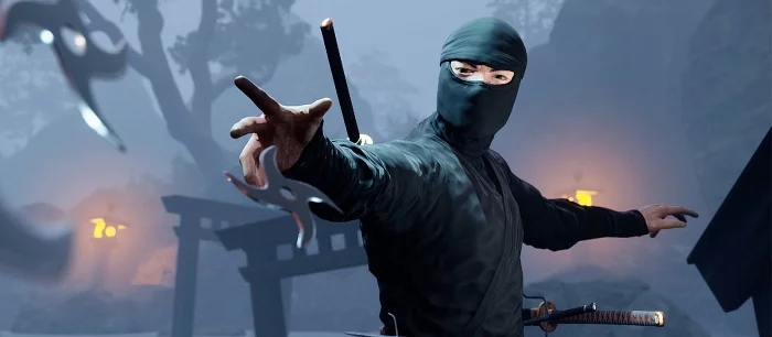 В Steam выйдет новый экшен про ниндзя, который заинтересует фанатов культовой Tenchu