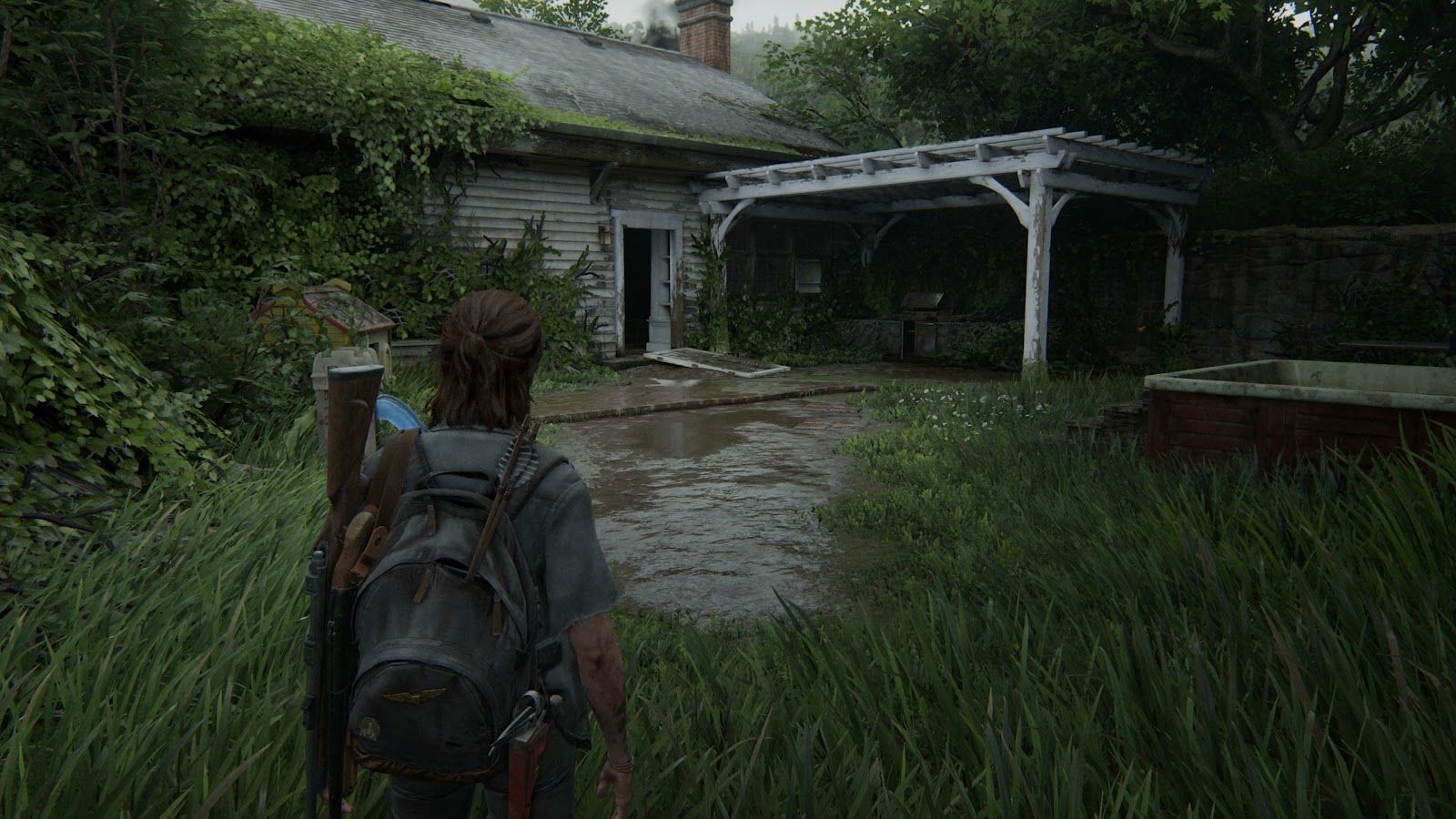 Карта the last of us 2