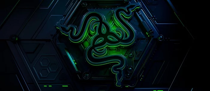 В сеть утекли данные 100 тыс. покупателей Razer. На серверах компании нашли брешь