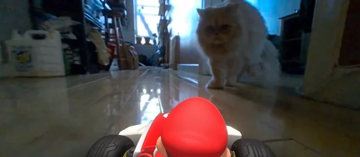 «Нипущу»! Коты мешают играть в Mario Kart Live: Home Circuit  — видео