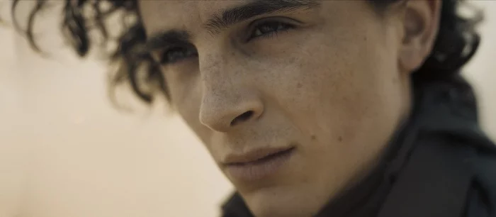 Режиссер «Дюны» заявил, что Тимоти Шаламе — идеальный Пол Атрейдес