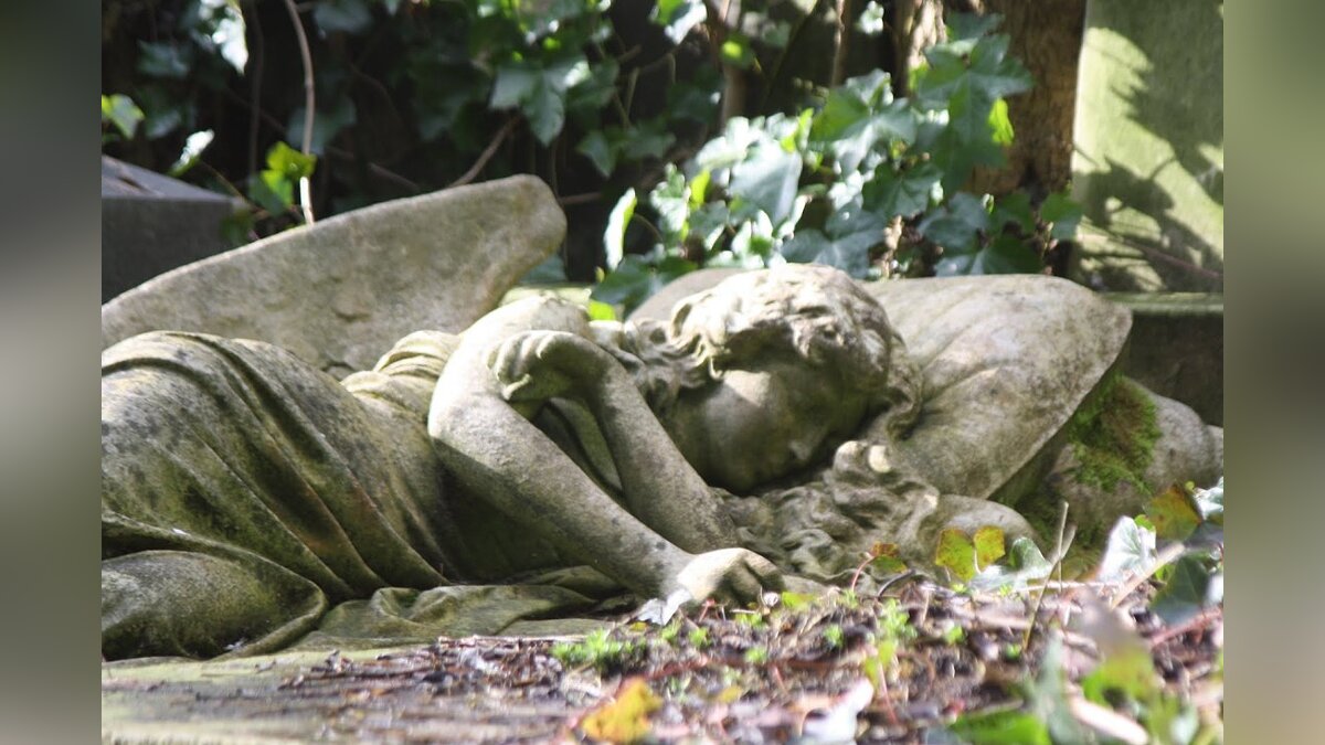 Хайгейтское кладбище. Хайгейтское кладбище памятник Плачущий ангел. Ночные съемки на кладбище. Кладбище рыгать на кладбище.