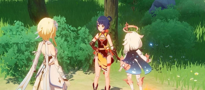 Где найти сосновые шишки в Genshin Impact