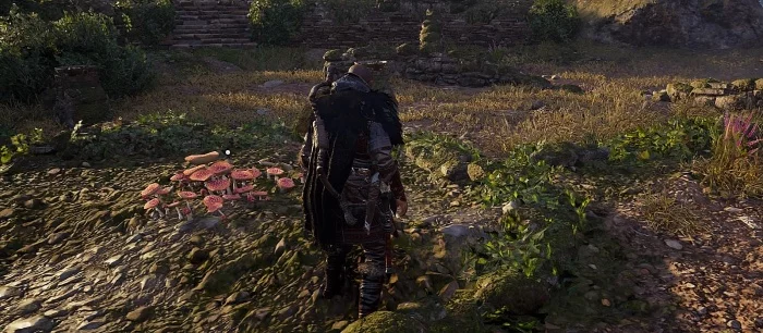 Как решить секретную головоломку с мухомором Грентебриджшира в Assassin's Creed Valhalla