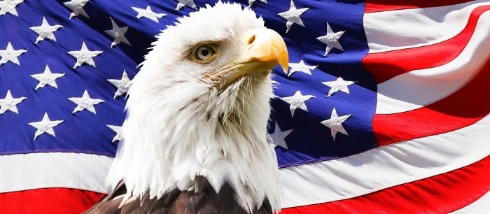 Пираты выложили в сеть стильный боевик о человеке, которого обвинили в убийстве президента США