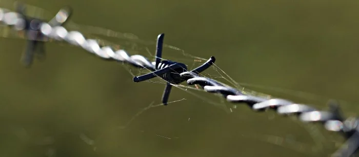 Школьников из Канска обвинили в терроризме: они построили здание ФСБ в Minecraft и хотели его взорвать